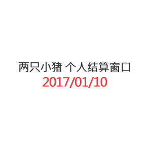 两只小猪 个人结算窗口_20170110-copy